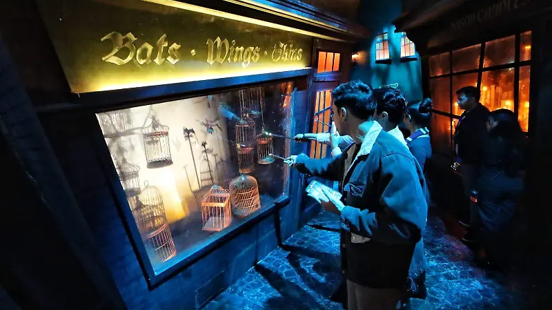 Harry Potter: Visions of Magic
